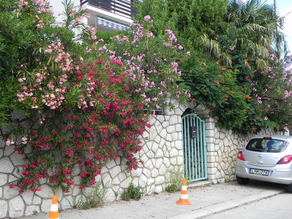 Apartments Katalenic Selce Exterior foto